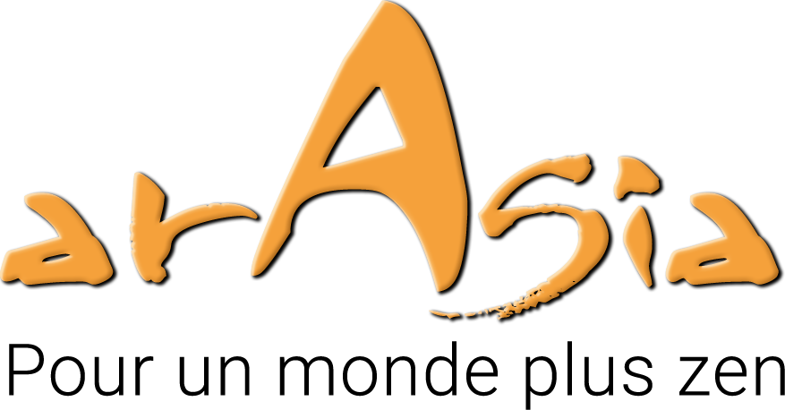 logo araisa salon du bien etre plaisance du touch