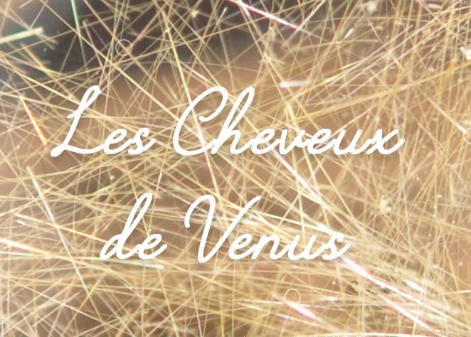 logo cheveux de Venus salon bien etre plaisance du touch